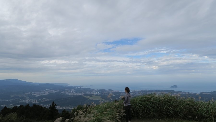 【新北】五分山步道 賞芒花