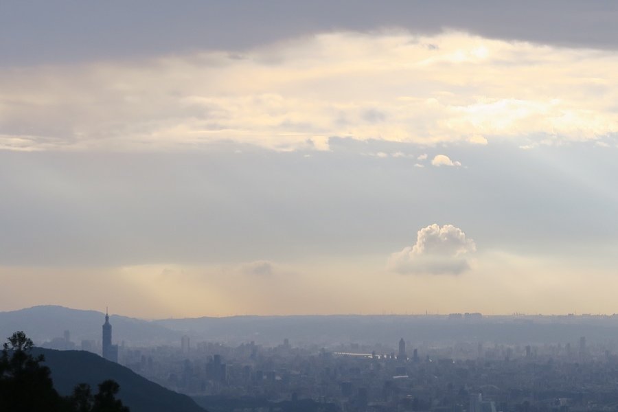 【新北】五分山步道 賞芒花