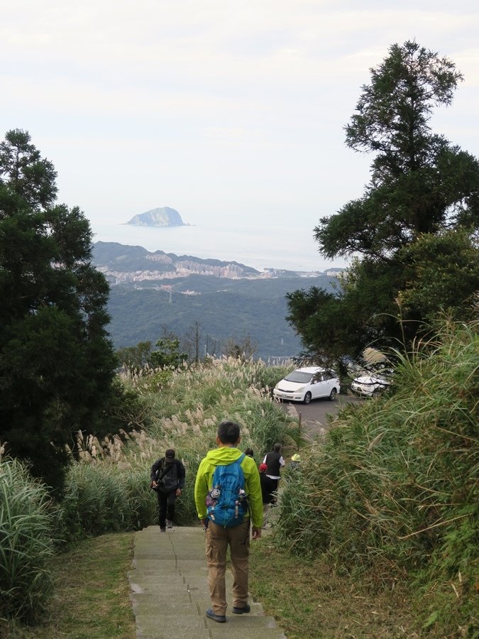 【新北】五分山步道 賞芒花