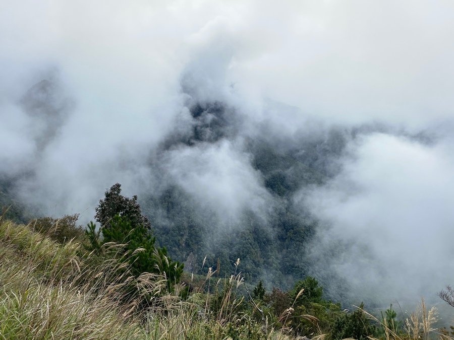 玉山前峰 (32).JPG