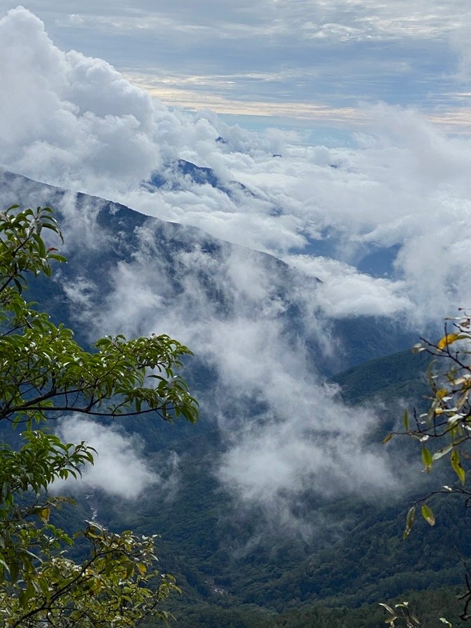 玉山前峰 (38).JPG