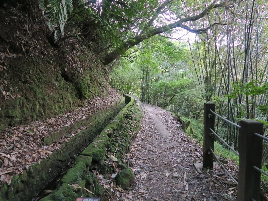 金包里大路(魚路古道) (3).JPG