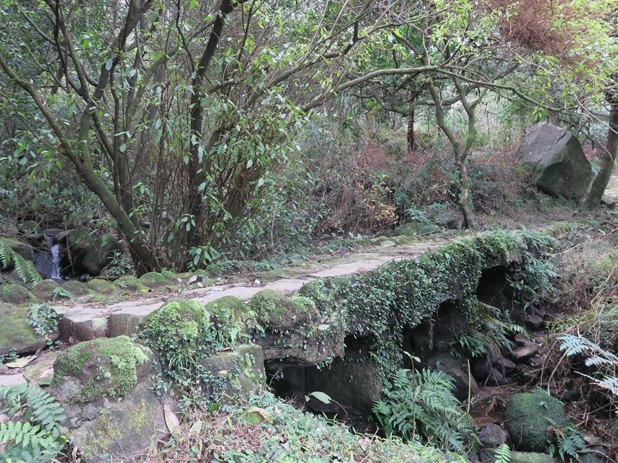 金包里大路(魚路古道) (48).JPG