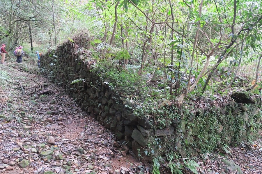 金包里大路(魚路古道) (57).JPG