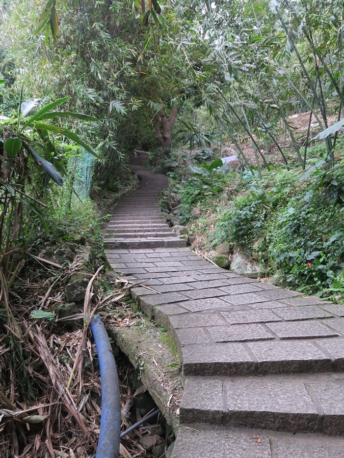 天母古道、紗帽山、草山行館、中山樓 (4).JPG