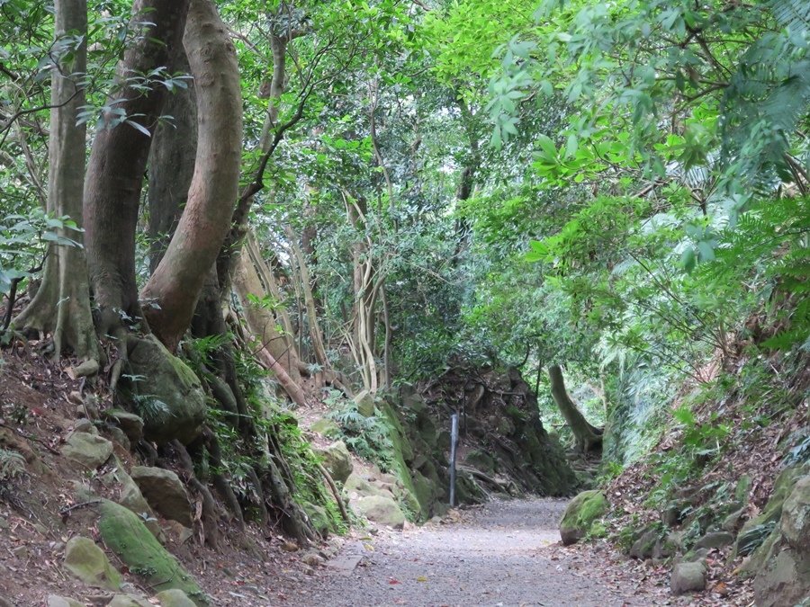 天母古道、紗帽山、草山行館、中山樓 (12).JPG