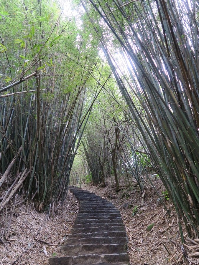 天母古道、紗帽山、草山行館、中山樓 (18).JPG