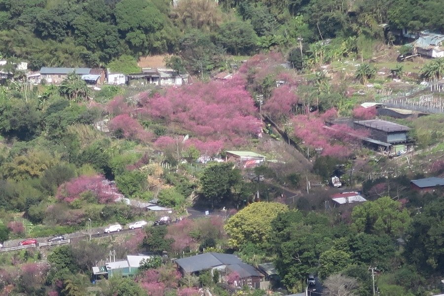 天母古道、紗帽山、草山行館、中山樓 (52).JPG