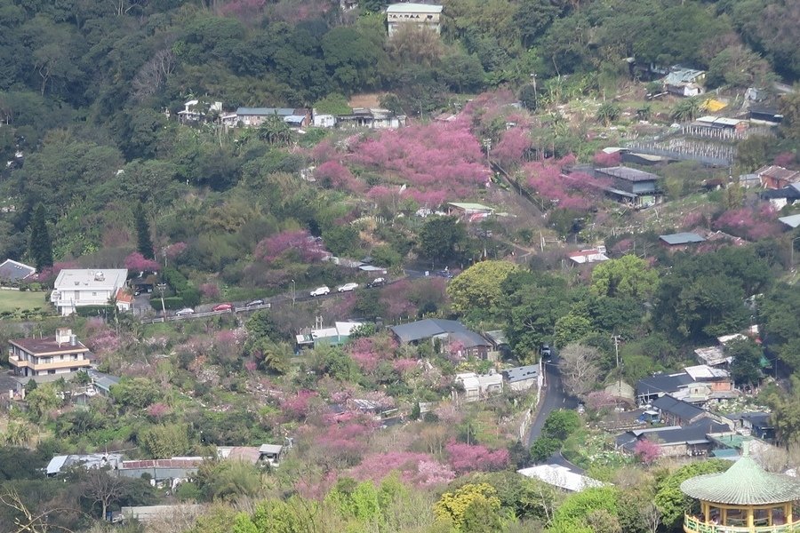 天母古道、紗帽山、草山行館、中山樓 (53).JPG