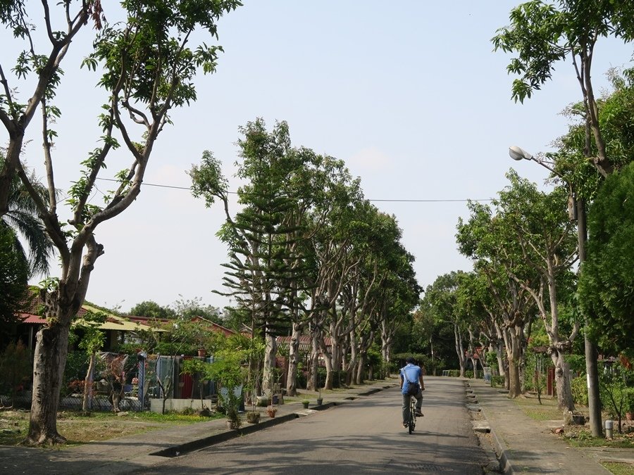 【南投】中興新村～～讓人待著就不想離開的地方