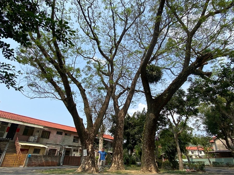 【南投】中興新村～～讓人待著就不想離開的地方