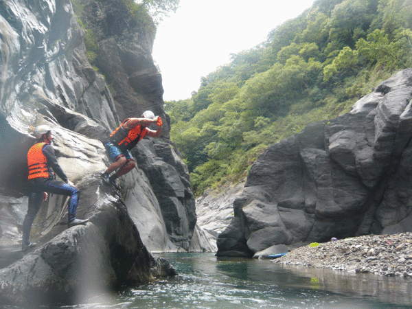 P1040272-1.gif