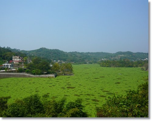 20110313峨嵋湖111.jpg