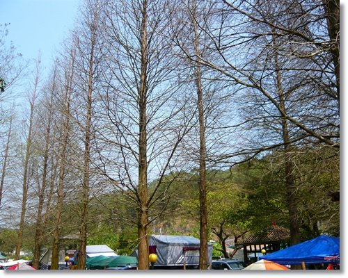 20110313峨嵋湖106.jpg