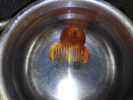 章魚19.jpg