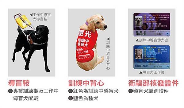 辦識導盲犬相關圖片