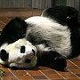 ap_20061017101033148.jpg