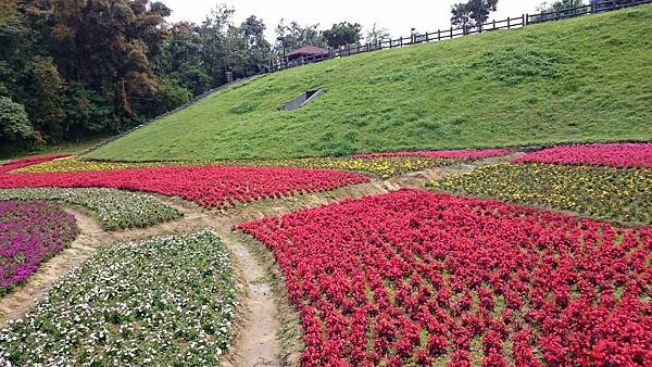 DSC_3247 (1280x720).jpg