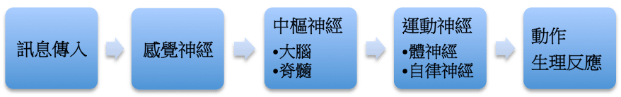 訊息傳入.png