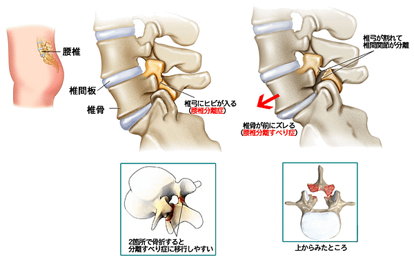 圖片 1.png