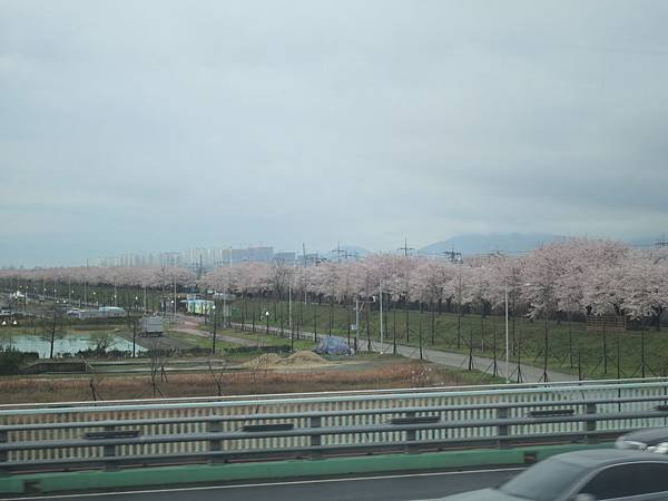 IMG_3379