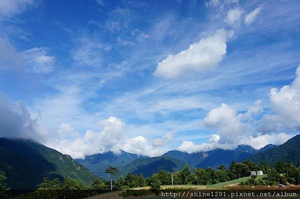 和平鄉青葉農場附近採果趣【採水蜜桃、皇帝李】台中縣和平鄉中興路二段53之19號