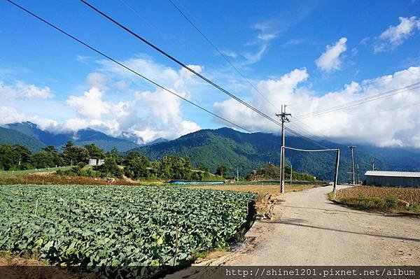 和平鄉青葉農場附近採果趣【採水蜜桃、皇帝李】台中縣和平鄉中興路二段53之19號