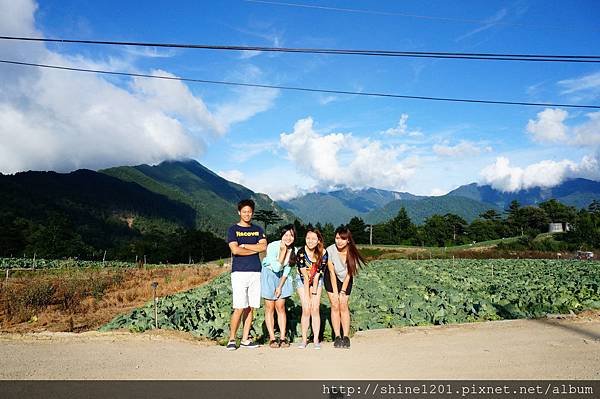 和平鄉青葉農場附近採果趣【採水蜜桃、皇帝李】台中縣和平鄉中興路二段53之19號