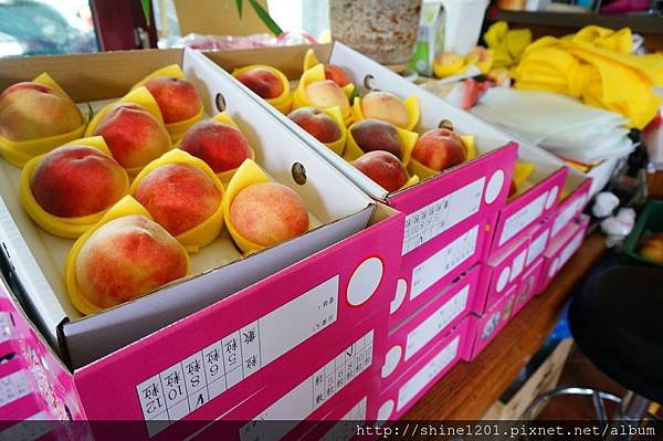 梨山民宿【松柏星宿】福壽山附近住宿，距離15~20分鐘