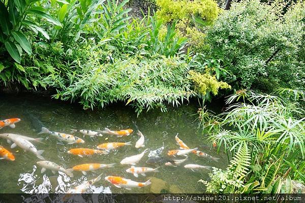 【新竹內灣溫泉】石上湯屋度假村-觀星泡湯住宿 (新竹尖山溫泉住宿)