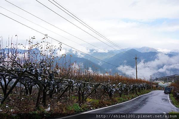 梨山旅遊景點