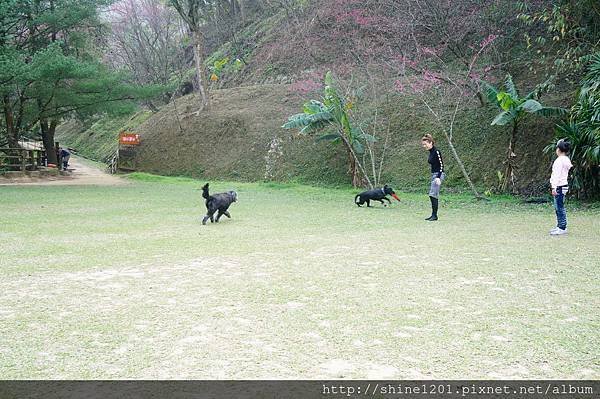 【苗栗景觀餐廳】綠葉方舟 苗栗三義親子旅遊景點推薦【山那邊.綠葉方舟】