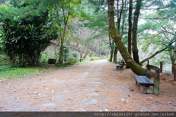 【苗栗景觀餐廳】綠葉方舟 苗栗三義親子旅遊景點推薦【山那邊.綠葉方舟】