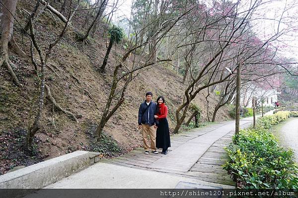 【苗栗景觀餐廳】綠葉方舟 苗栗三義親子旅遊景點推薦【山那邊.綠葉方舟】