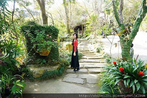 【苗栗溫泉下午茶】湖畔花時間溫泉會館 大湖景觀溫泉下午茶推薦