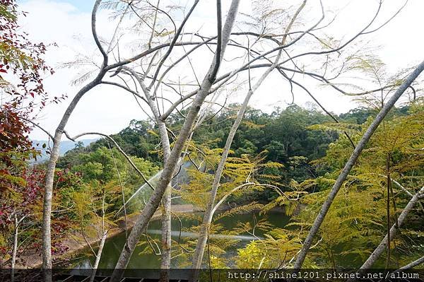 【苗栗溫泉下午茶】湖畔花時間溫泉會館 大湖景觀溫泉下午茶推薦