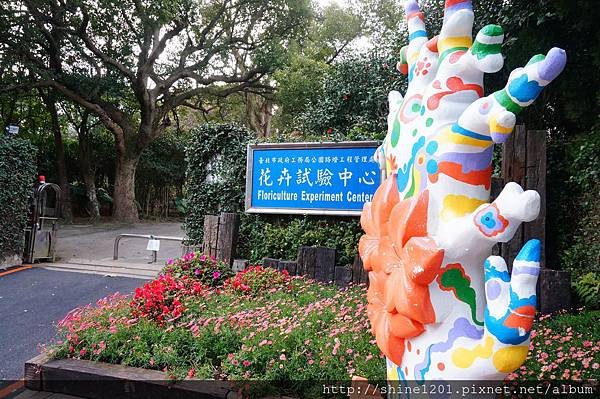 【陽明山餐廳】山頂餐廳 陽明山景觀下午茶餐廳