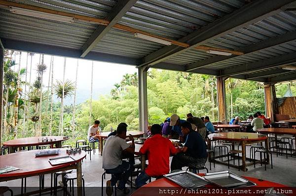 南投特色美食餐廳 天鵝湖竹筒飯套餐  銀杏森林附近餐廳