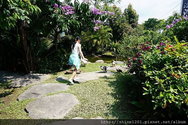 南投集集特色餐廳 漂流木景觀餐廳