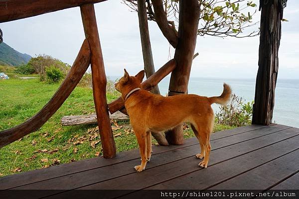 【花蓮海景下午茶】海浪café 石梯坪villa景觀下午茶