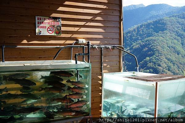 南投清境景觀餐廳 塔洛灣平價餐廳