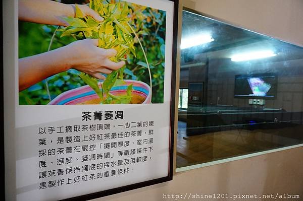 南投魚池埔里景點 廖鄉長紅茶故事館 夢幻歐式莊園