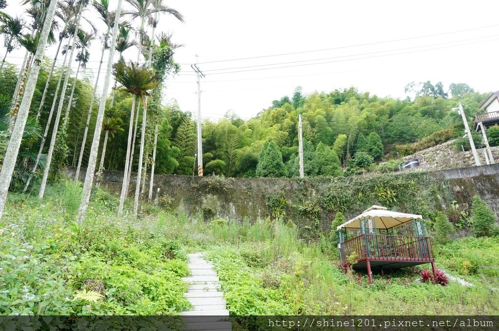 南投露營 瑞櫻山莊露營區民宿