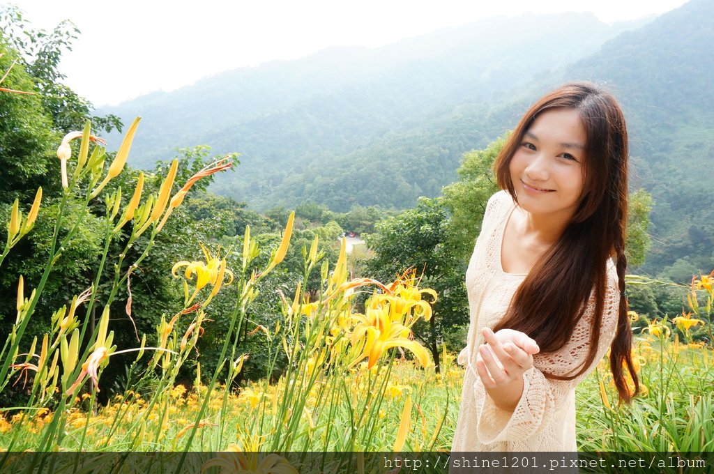 台中金針花花季 沐心泉休閒農場露營區.賞櫻.賞楓.賞桐花,賞金針花