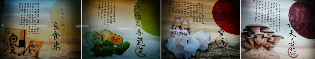 宜蘭冬山景點 菇菇茶米館 親子觀光工廠