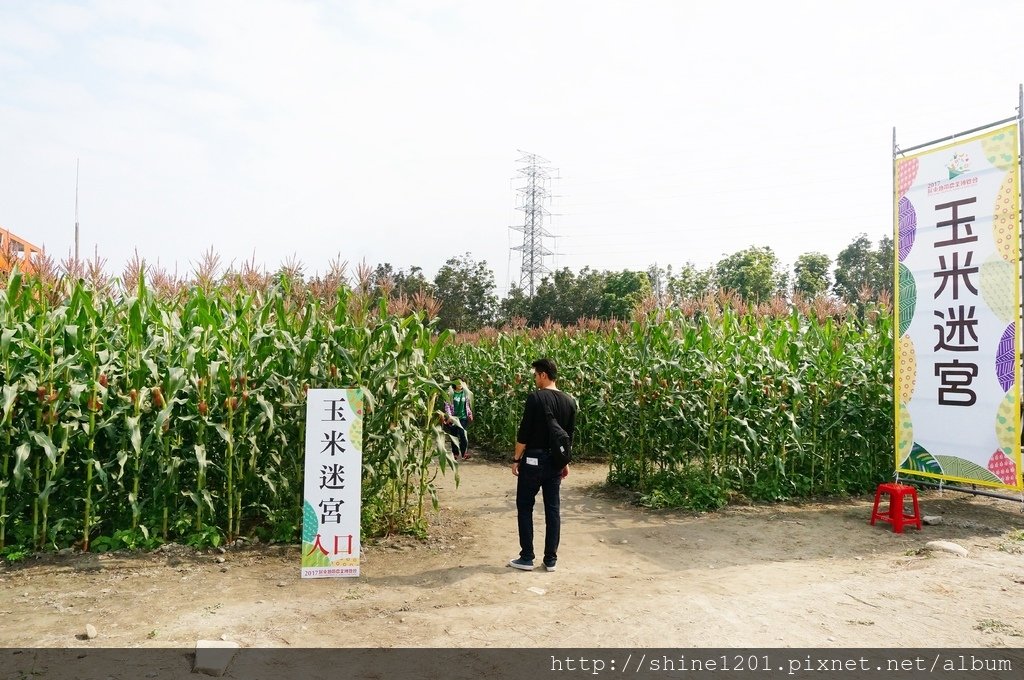 農曆春節景點 屏東熱帶農業博覽會  惡靈古堡. 蜜拉喬娃維琪彩繪稻田