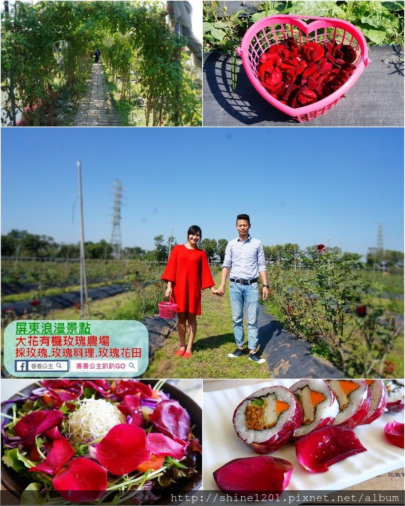 【屏東美食景點】大花有機玫瑰農場景觀餐廳.日光玫瑰夢幻入菜