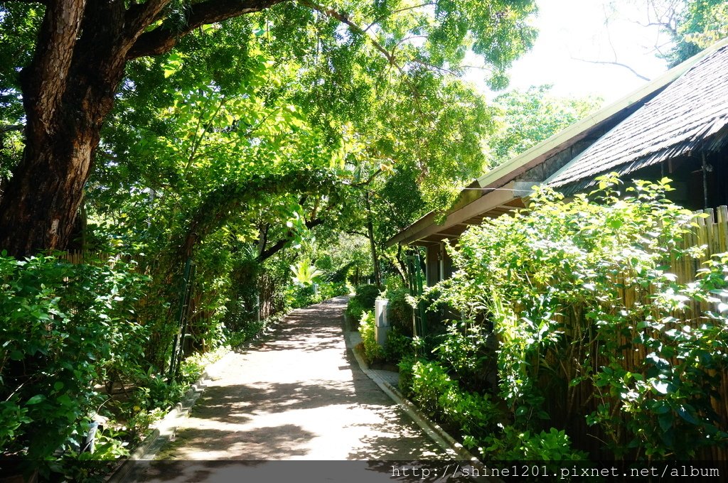 巴拉望科隆島一島一飯店 天堂俱樂部.CLUB PARADISE CORON.PALAWAN