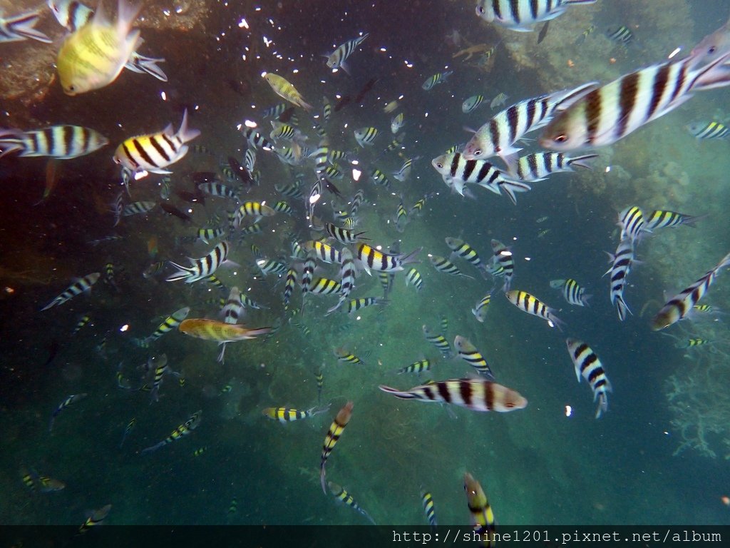 菲律賓旅遊 巴拉望.科隆島