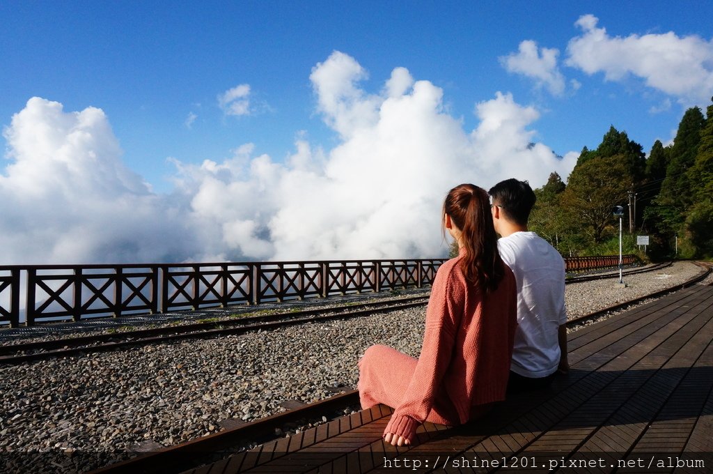 阿里山景點.阿里山民宿.阿里山美食.阿里山雲海.掌聲響起.璟隆慢活仙境